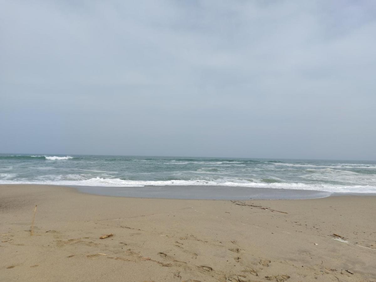 Saint Cyprien - Appart - Piscine-Mer Kültér fotó